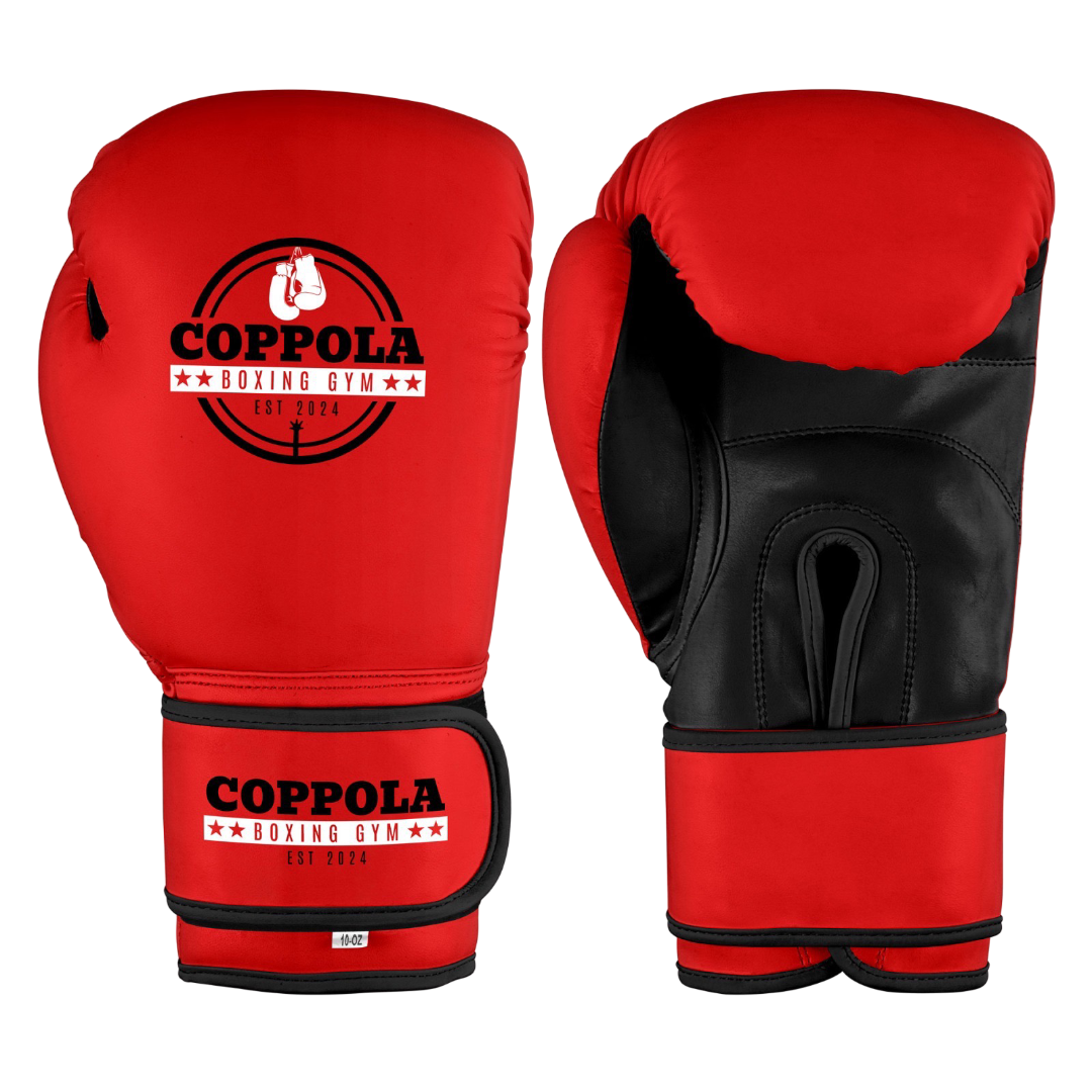 Boxing Gloves Detail
